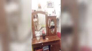 Mông cong, lồn bót, vú size vừa doggy bao đã