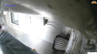 toilet 31 (bướm không lông)