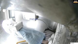 toilet 31 (bướm không lông)