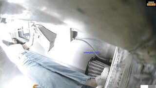 toilet 31 (bướm không lông)