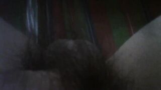 con cu cô đơn