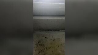 Quay lén gái non tắm p2