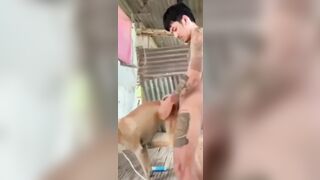 Anh trai xăm trổ chịch chó quá phê.