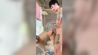 Anh trai xăm trổ chịch chó quá phê.