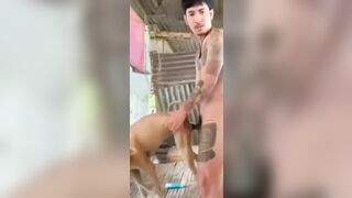 Anh trai xăm trổ chịch chó quá phê.