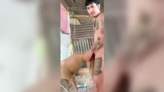 Anh trai xăm trổ chịch chó quá phê.