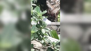 2 em hs lén lút ngoài công viên
