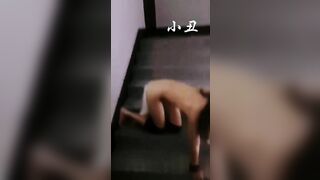 Huấn luyện salve chó cái