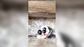hai em học sinh vào hẻm vắng bú cu địt nhau