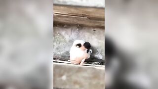 hai em học sinh vào hẻm vắng bú cu địt nhau