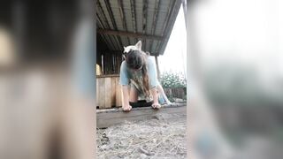 Đùa tí ko ngờ nó chịch thật