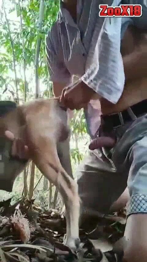 Đừng làm theo sướng đó