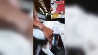 Bé đốm đáng iu