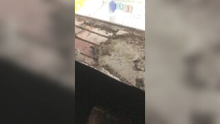 Quay lén em hàng xóm tắm 20