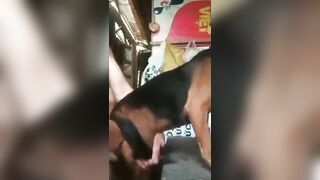 Anh trai miền tây chich chó  cực đỉnh p5