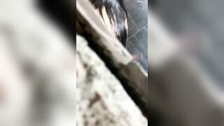 quay lén nhà vệ sinh mấy em sinh viên đi đái nhìn ngon vcl - phần 1
