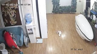 Hack cam phát hiện a trai cùng e dâu lén lút hôn nhau vụng trộm trong phòng p2