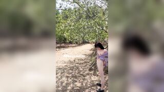 Con chó cái không mặc đồ móc giữa đường