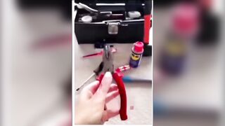 Em gái thủ dâm đúc cây kiềm vào lồn
