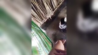 Vài đoạn clip cà phê chòi Việt Nam