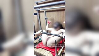 Chủ nhân huấn luyện con chó cái bằng roi