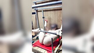 Chủ nhân huấn luyện con chó cái bằng roi