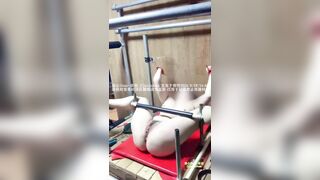 Chủ nhân huấn luyện con chó cái bằng roi