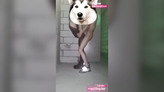 Vợ chồng ngôi sao khiêu dâm Internet Bai Zhi có một cô vợ đĩ điếm mới ra mắt gia đình