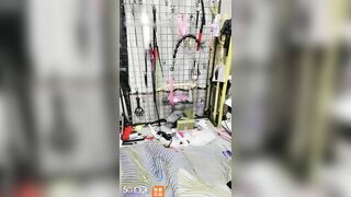 huấn luyện 1 dàn gái đẹp với sex toy