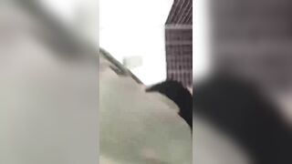 Hluas nkauj *** nkauj ntxim hlub heev
