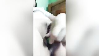 em dưa leo