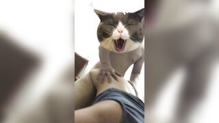 Bé sinh viên 2k5 vú hồng bướm lúc nào cũng chảy nước vì thèm chịch