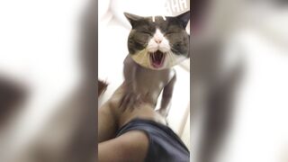 Bé sinh viên 2k5 vú hồng bướm lúc nào cũng chảy nước vì thèm chịch
