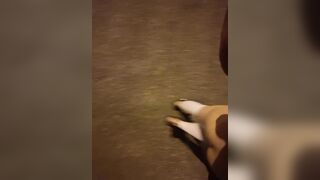 Dạo phố cùng em!