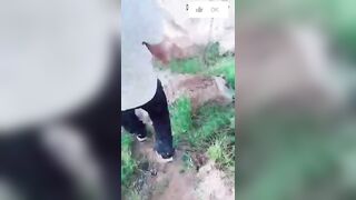Ông già nông thôn này sướng thật chịch được em gái siêu ngon Phần 6