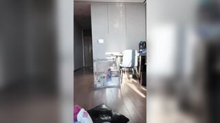 Em teen mình dây TQ livetream mà mặc quần rộng quá lộ cả bím mà k hề biết