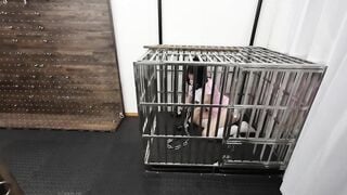 Bạo dâm huấn luyện em teen xinh dâm nhốt vào chuồng chó bắt làm con đĩ chó dâm đãng 3