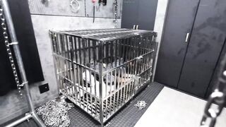 Bạo dâm huấn luyện em teen xinh dâm nhốt vào chuồng chó bắt làm con đĩ chó dâm đãng 6