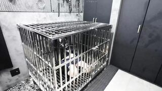 Bạo dâm huấn luyện em teen xinh dâm nhốt vào chuồng chó bắt làm con đĩ chó dâm đãng 7