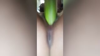 Lê VY 2k6 mới lớn