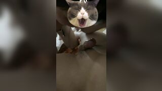 Em sugar baby với quần lót ren nhìn thôi đã thích rồi - phần 1
