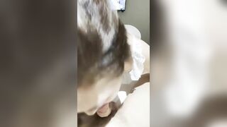 Bú cu lút cán 5