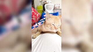 ngơ ngơ ngác ngác!