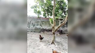 Chị Gái Live Thủ Dâm Season 2 Tập 27