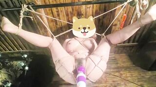 Hành hạ e dâm nữ sướng trog đau đớn,trói treo lên cao xoa lồn làm e k thể ngừng rên