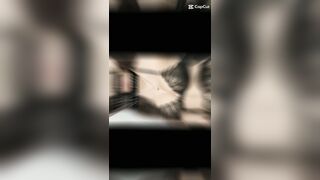 Album ảnh xịn của con vợ thằng bạn capcut giựt giựt