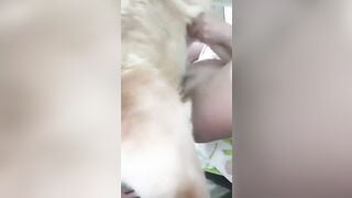 Cho chó xuất tinh trong mỗi ngày phần 11