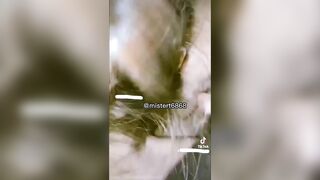 Full 13 phút, Clip cũ Trần Hà Linh Top 1 Loli Vú To Lồn Không lông Thủ dâm djt nhau