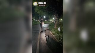 em gái khỏa thân public bú cu và doggy với người lạ nơi công cộng #4