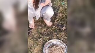 em gái ra đồng bị kiến bò vô vú vô lồn